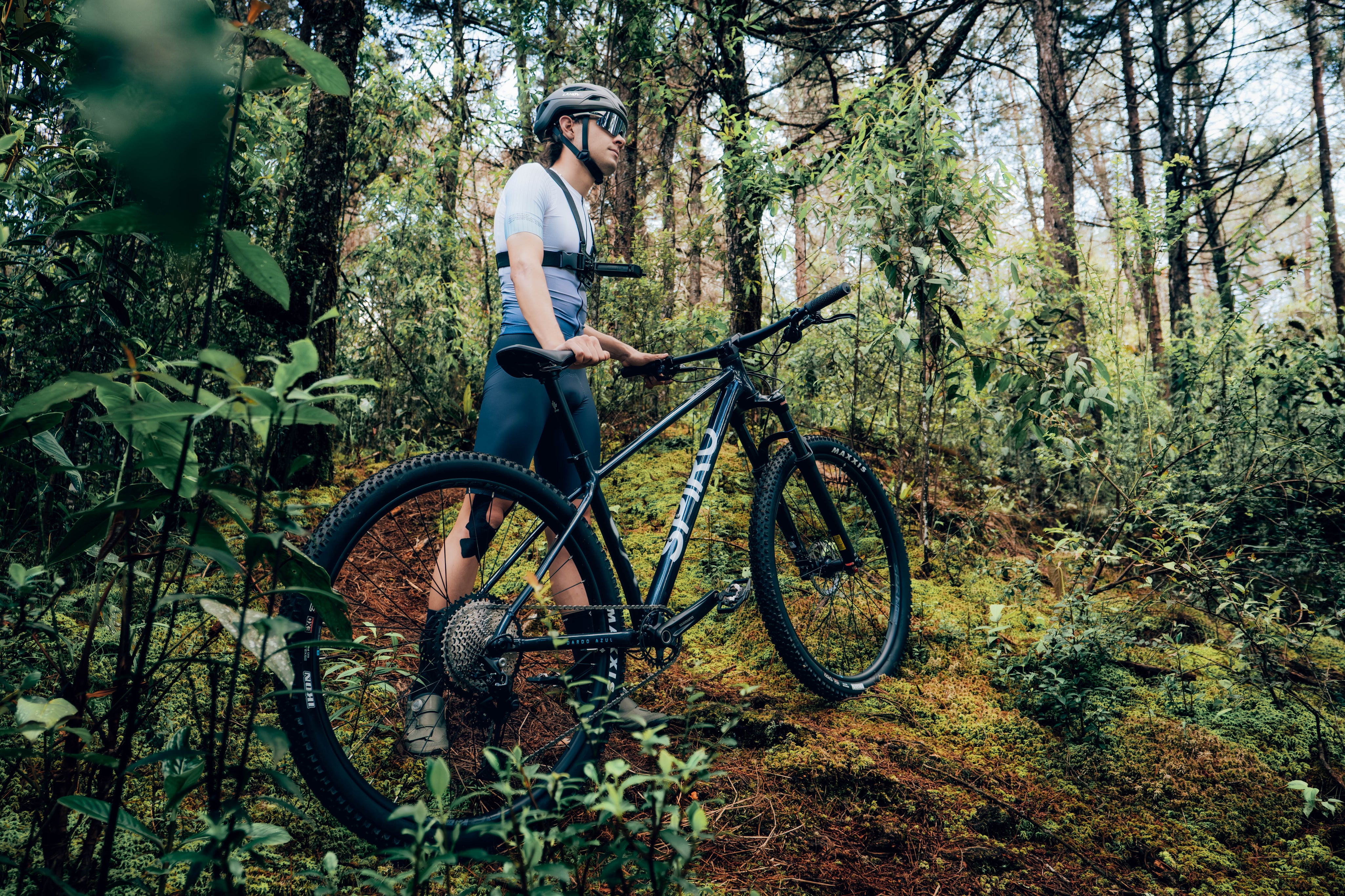 Bicicleta de MTB Oculta