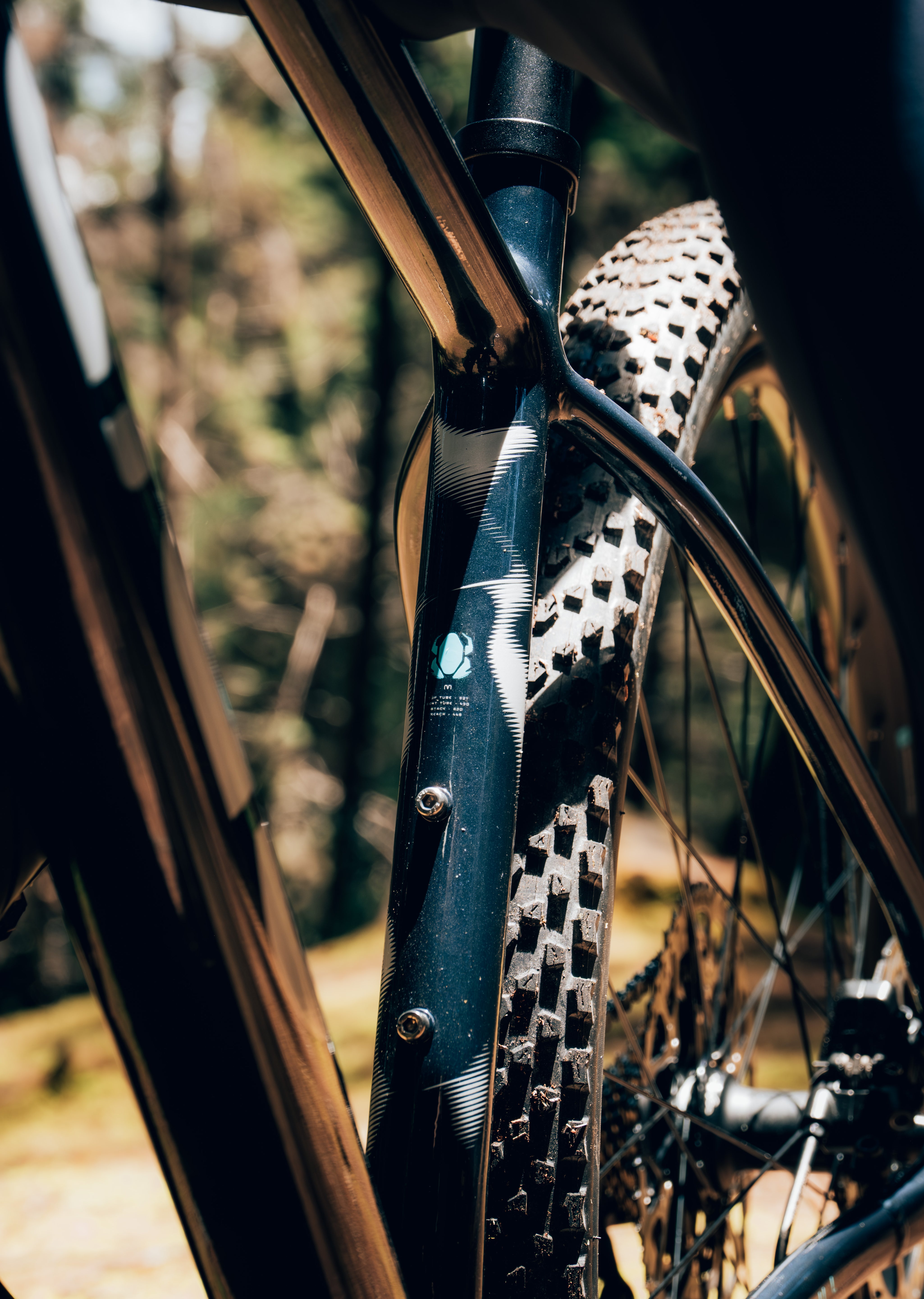 Bicicleta de MTB Oculta