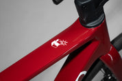 Bicicleta de ruta FREEDOM grupo Shimano 105 2X12 vel.