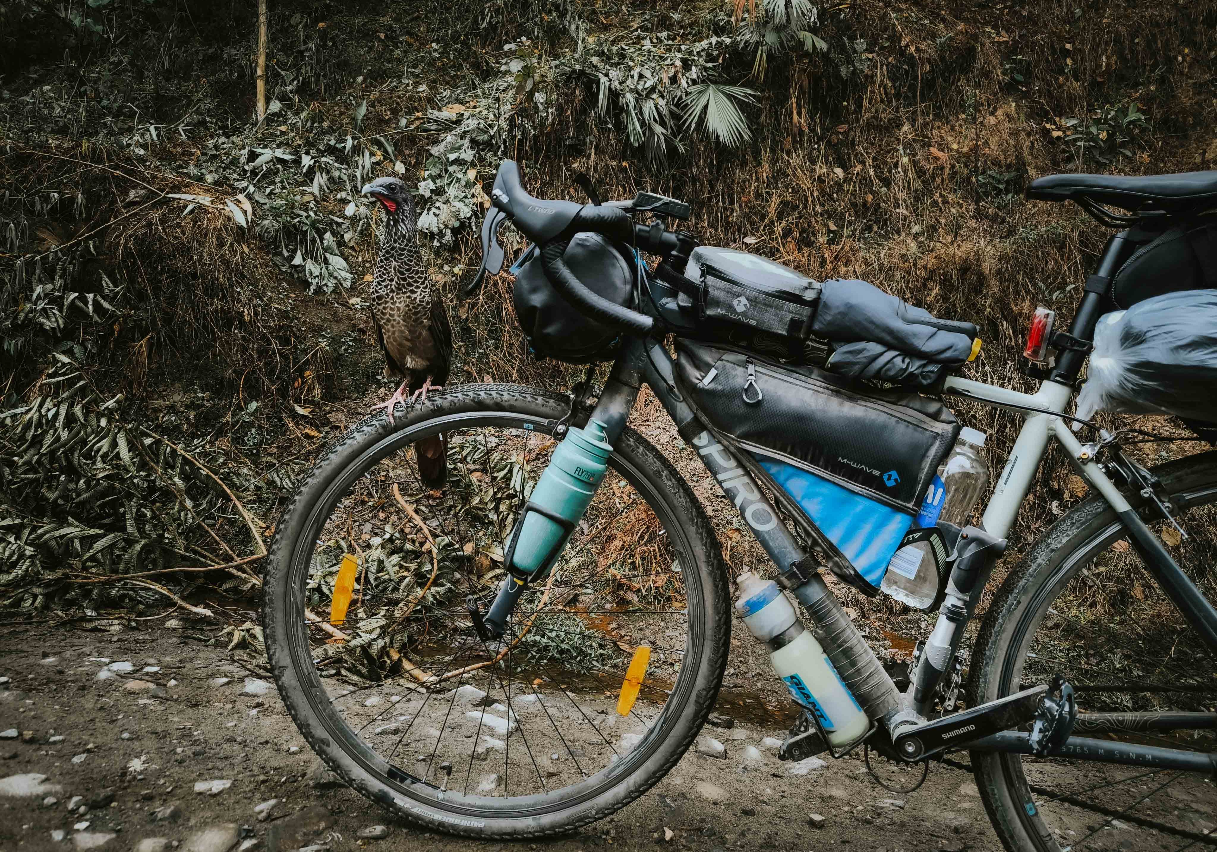 Bicicleta gravel Spiro Mítica lista para aventuras en la naturaleza, destacada por su precio competitivo frente a GW Sacramento y Trek Domane.