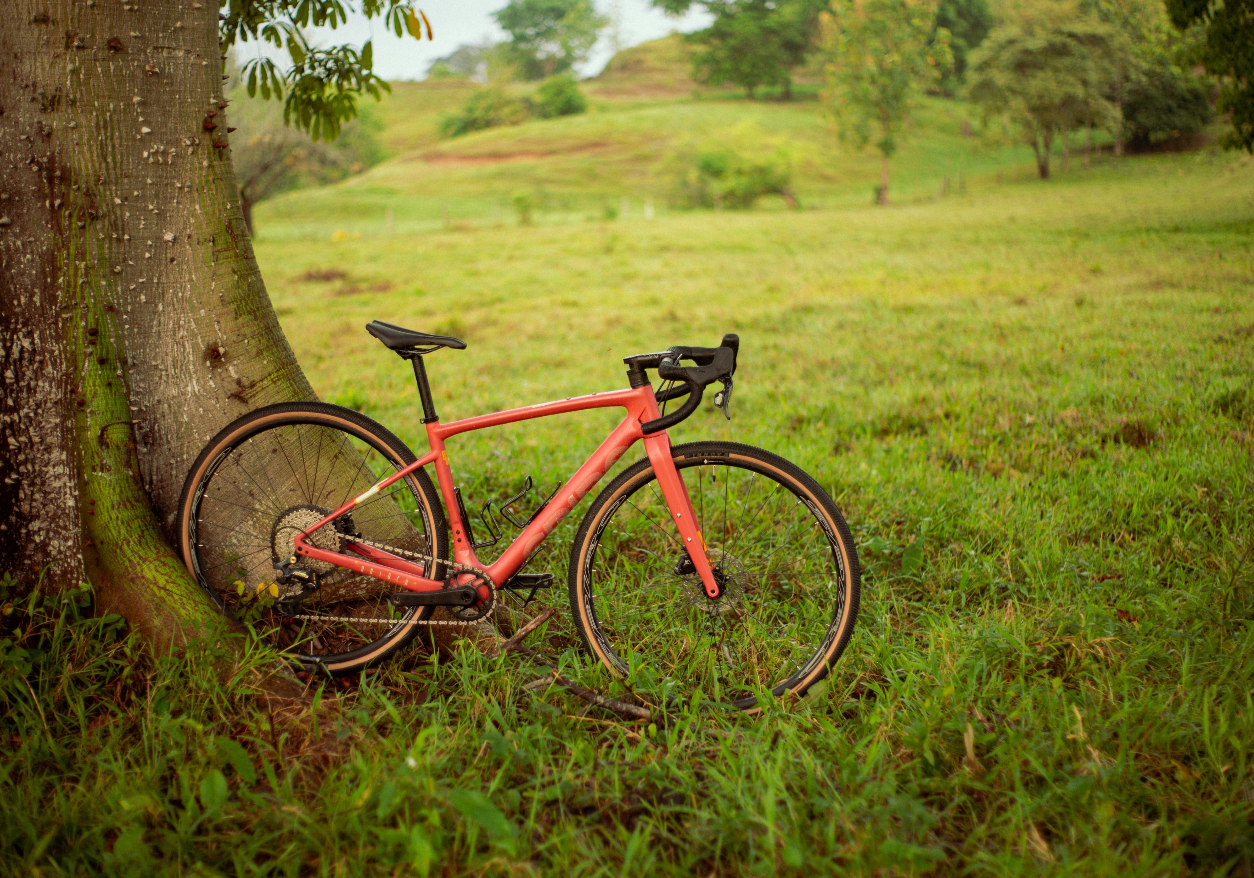 Pacha 11-42T en la bicicleta de gravel SPIRO ORIGEN Carbono, destacando por su ligereza y rendimiento en rutas técnicas. Comparada con la Specialized Diverge para subir pendientes con facilidad.