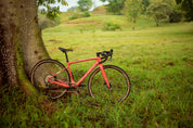 Pacha 11-50T en la bicicleta de gravel SPIRO ORIGEN Carbono, destacando por su ligereza y rendimiento en rutas técnicas. Comparada con la Specialized Diverge para subir pendientes con facilidad.