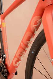 Bicicleta de ruta/gravel ORIGEN ALL ROAD en carbono LTWOO RX