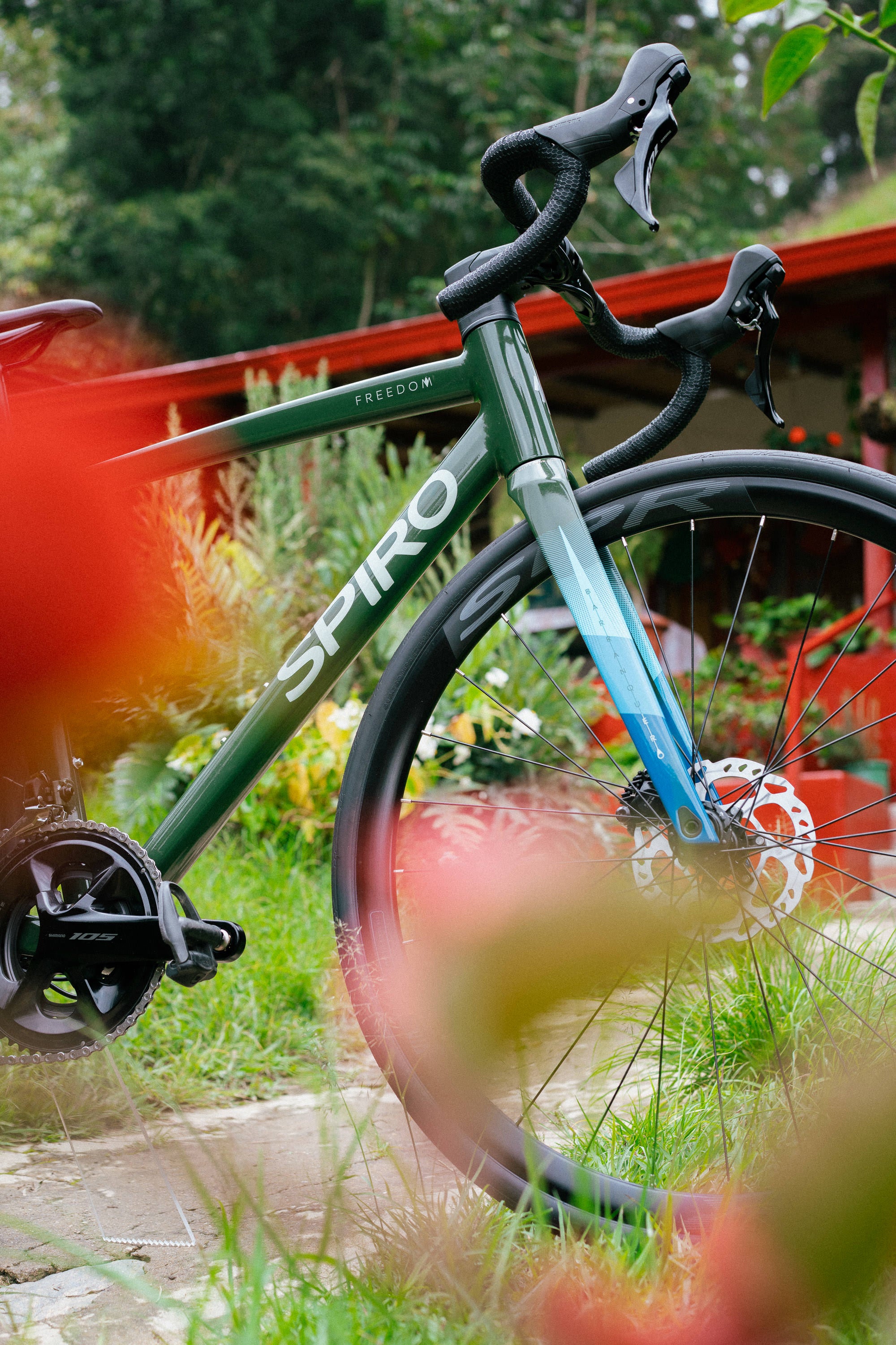 Colección inspirada en aves Colombianas