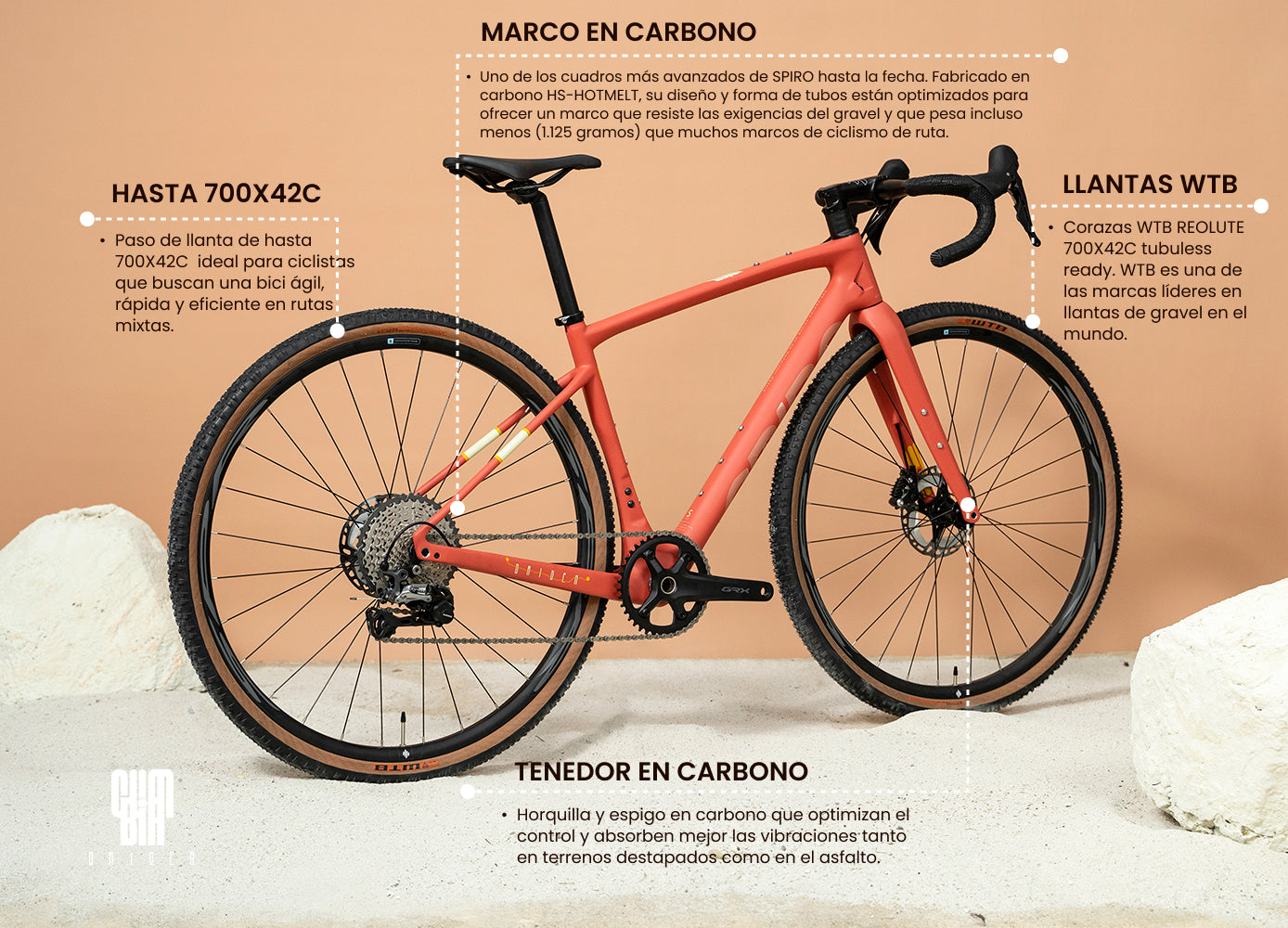 Miniature Poodle Standard Parti Poodles For Sale Poodle Mix Best