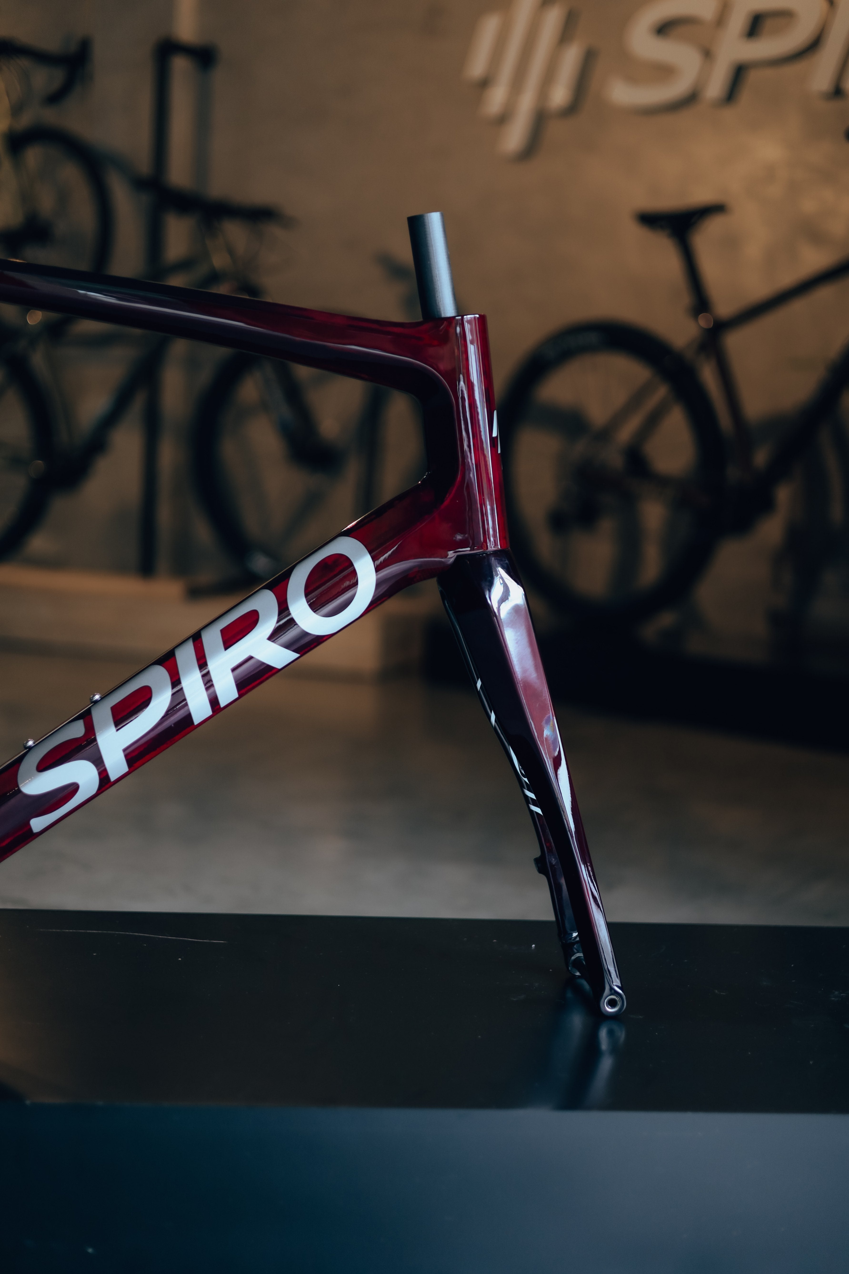 Marco o bicicleta de ruta LEGEND SIKI en carbono talla XL