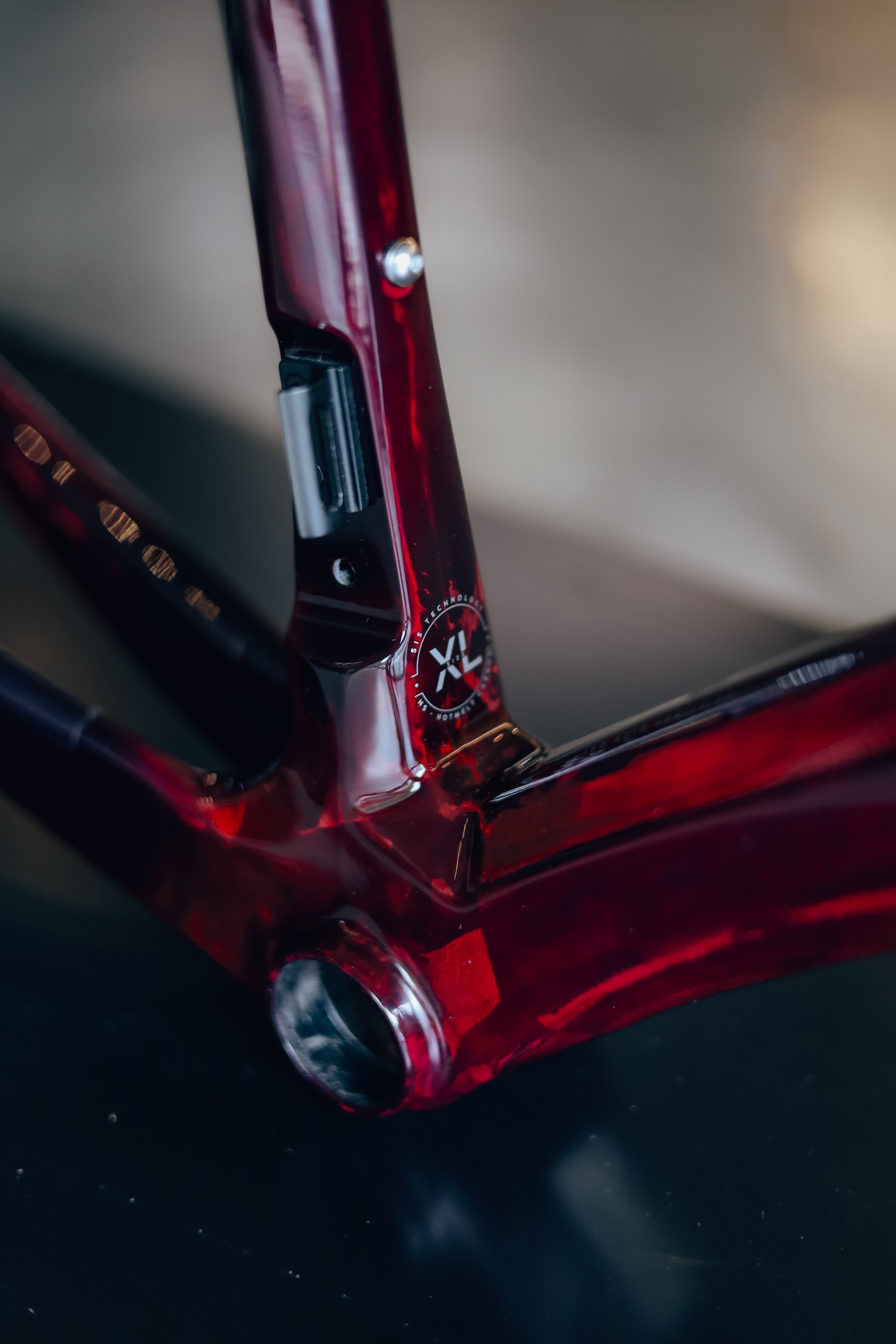 Marco o bicicleta de ruta LEGEND SIKI en carbono talla XL