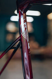 Marco o bicicleta de ruta LEGEND SIKI en carbono talla XL