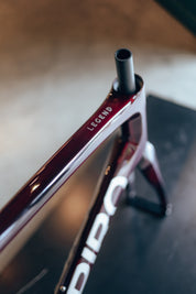 Marco o bicicleta de ruta LEGEND SIKI en carbono talla XL