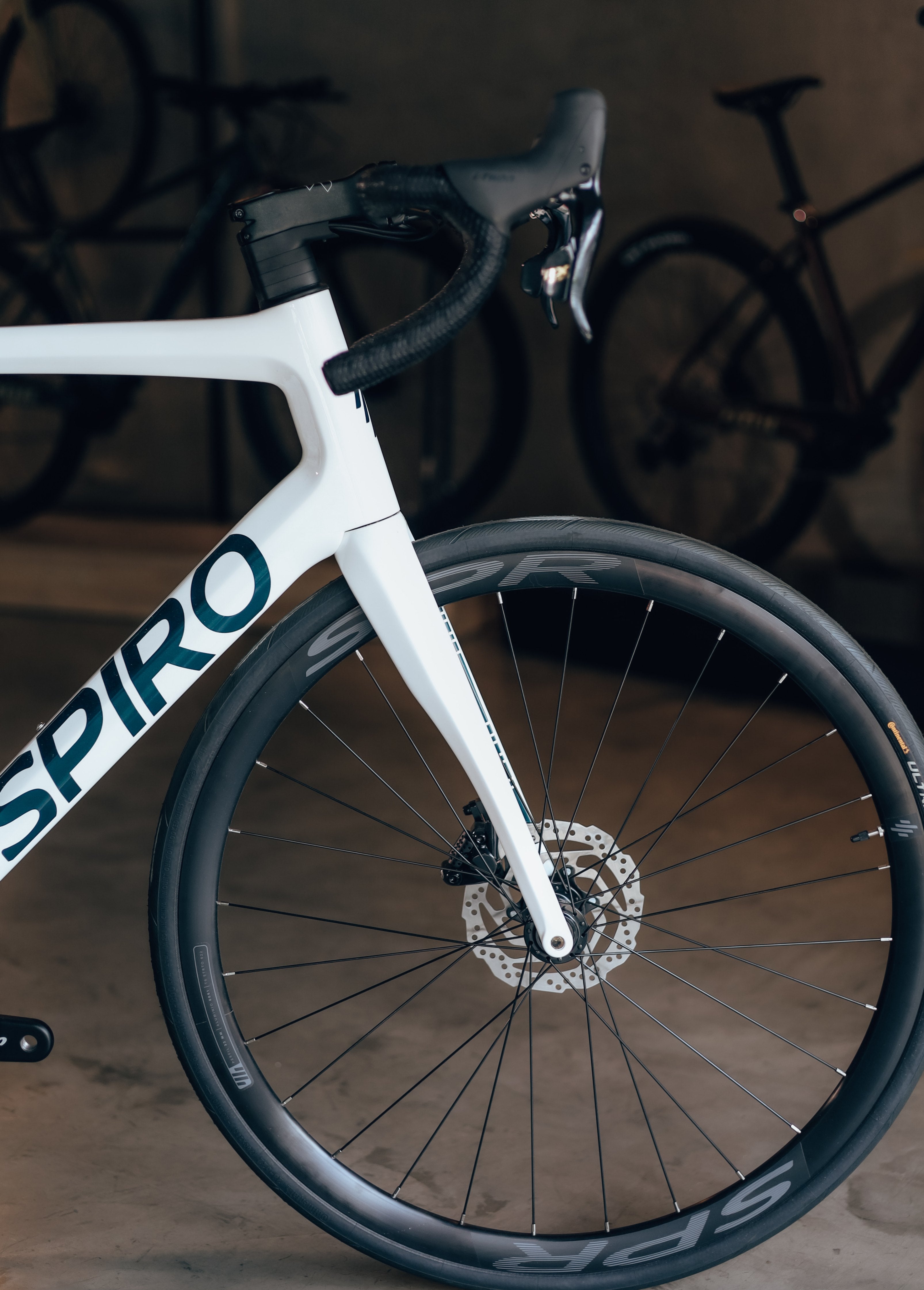 Bicicleta de ruta LEGEND DISC WUIN en carbono talla XL