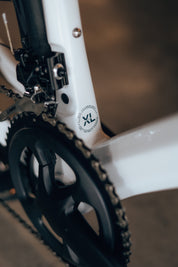 Bicicleta de ruta LEGEND DISC WUIN en carbono talla XL