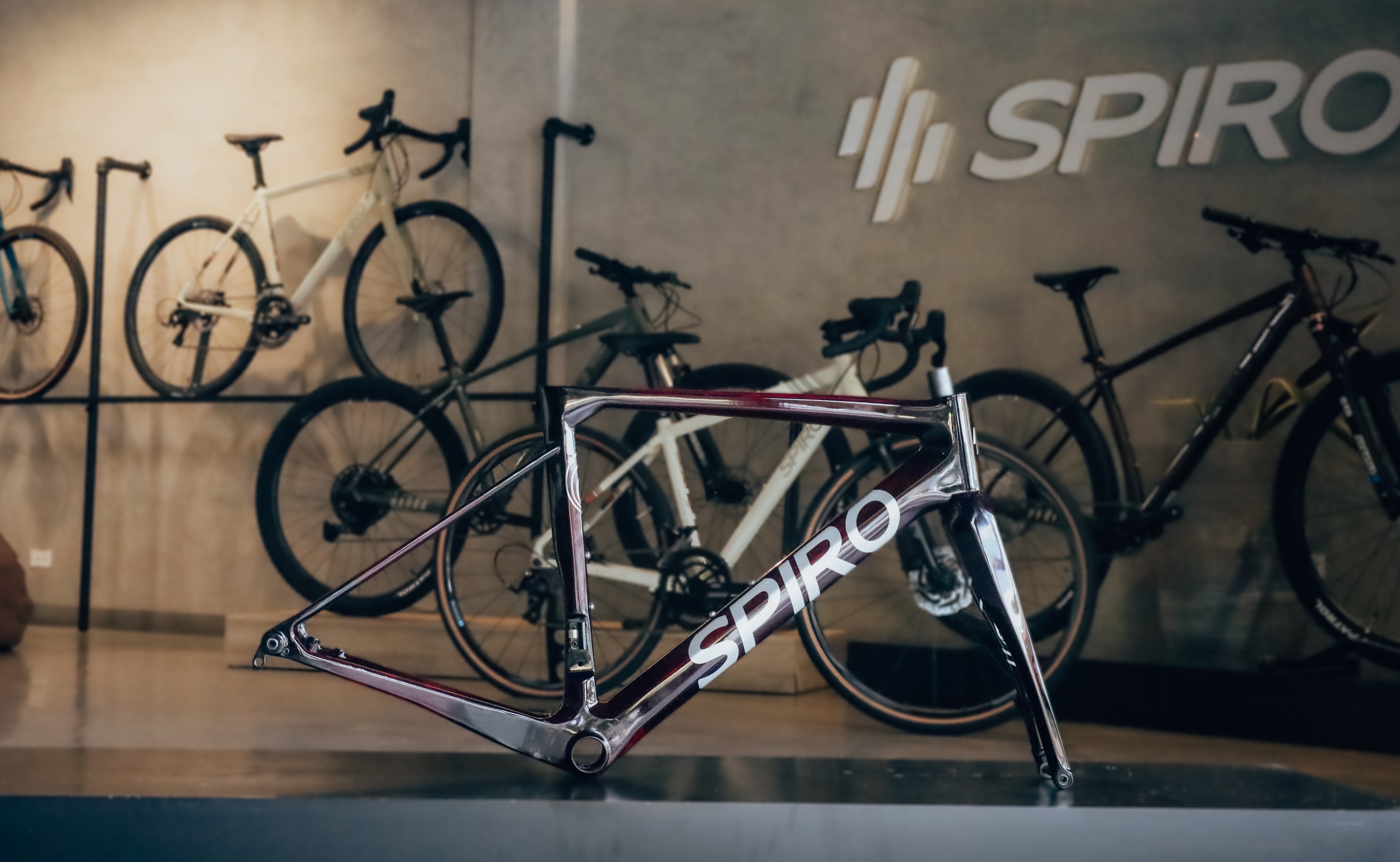 Marco o bicicleta de ruta LEGEND SIKI en carbono talla XS - USADA